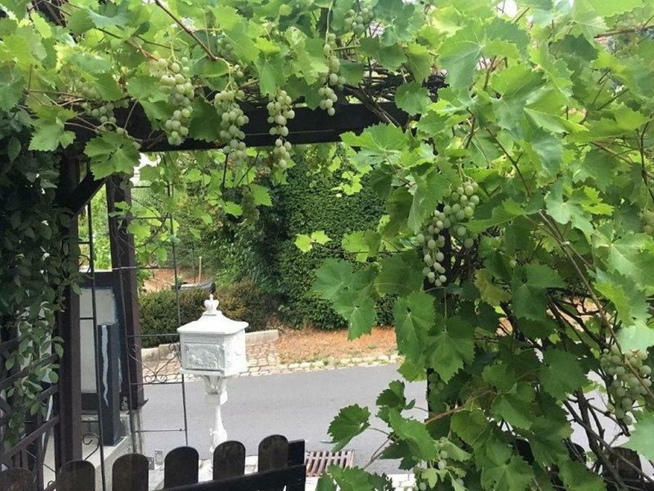 Ferienwohnung Kleiner Kalle 멜숭겐 외부 사진